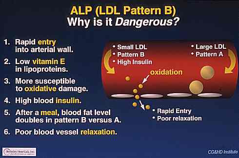 Illustration showing why this small dense LDL particle is of so much concern even if the blood level is reported as "normal" 